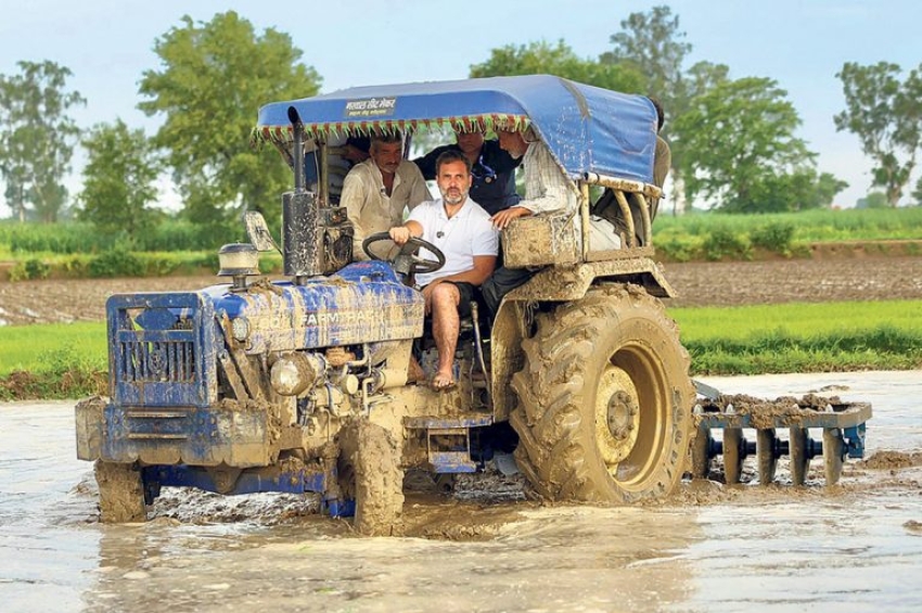 ਰਾਹੁਲ ਨੇ ਖੇਤ &rsquo;ਚ ਕੱਦੂ ਕਰ ਕੇ ਝੋਨਾ ਲਾਇਆ