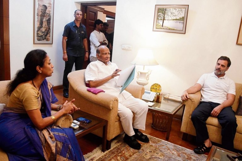 ਐੱਨਸੀਪੀ ਦਾ ਮੈਂ ਹੀ ਪ੍ਰਧਾਨ ਹਾਂ: ਸ਼ਰਦ ਪਵਾਰ