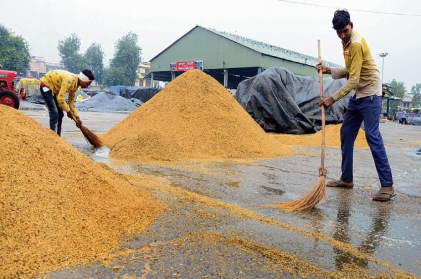 ਕਿਸੇ ਲਈ ਰਾਹਤ ਤੇ ਕਿਸੇ ਲਈ ਆਫ਼ਤ ਬਣ ਵਰ੍ਹਿਆ ਮੀਂਹ