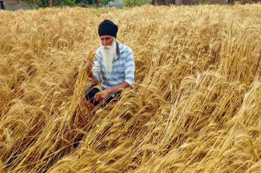 ਖਰਾਬ ਮੌਸਮ ਨੇ ਕਿਸਾਨ ਫ਼ਿਕਰਾਂ ਵਿੱਚ ਪਾਏ