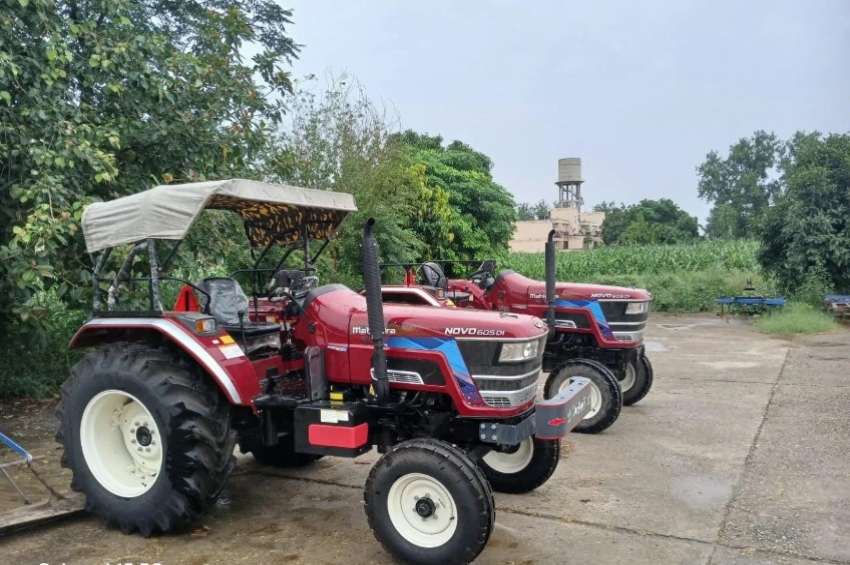 ਡੰਡੇ ਅੱਗੇ ਭੂਤ ਨੱਚਦੇ: ਆਹ ਲਓ! ਇੱਕ ਨਾਲ ਇੱਕ &lsquo;ਫਰੀ&rsquo;