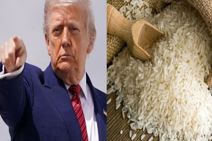 ਟਰੰਪ ਦੀ ਚੇਤਾਵਨੀ: &lsquo;ਅਮਰੀਕੀ ਬਾਜ਼ਾਰ &rsquo;ਚ ਭਾਰਤ ਚੌਲ &lsquo;ਡੰਪ&rsquo; ਨਾ ਕਰੇ..&rsquo; ਟੈਰਿਫ਼ ਲਗਾ ਕੇ ਸਮੱਸਿਆ ਦਾ ਕਰਾਂਗਾ ਹੱਲ !