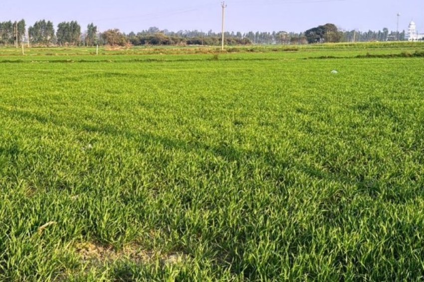 3553 ਏਕੜ ਜ਼ਮੀਨ ਐਕੁਆਇਰ ਕਰਨ ਲਈ ਨੋਟੀਫਿਕੇਸ਼ਨ