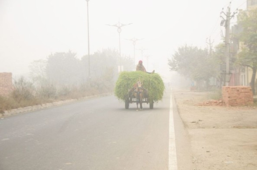 ਪੰਜਾਬ ਤੇ ਹਰਿਆਣਾ ਵਿੱਚ ਠੰਢ ਨੇ ਕੰਬਣੀ ਛੇੜੀ