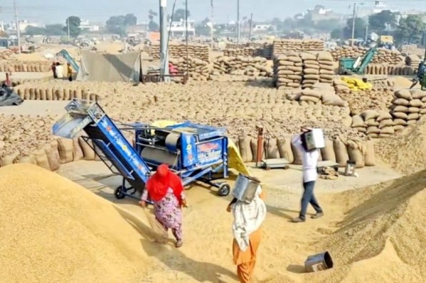 ਚੌਲਾਂ ਦੇ ਵਪਾਰ &rsquo;ਚ ਭਾਰਤ ਦਾ ਦਬਦਬਾ ਅਤੇ ਜ਼ਮੀਨੀ ਪਾਣੀ ਦਾ ਸੰਕਟ&nbsp;