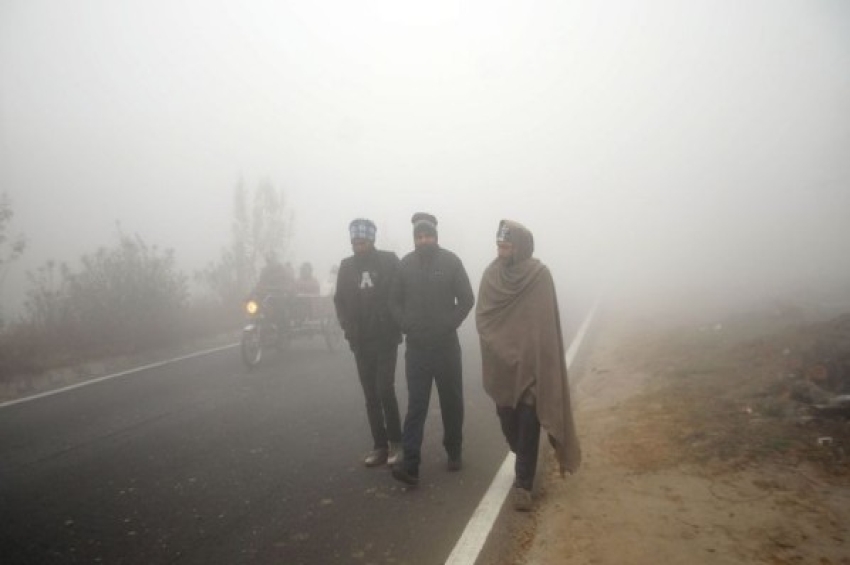 ਪੰਜਾਬ ਵਿੱਚ ਧੁੰਦ ਤੇ ਠੰਢ ਕਾਰਨ ਜਨ-ਜੀਵਨ ਪ੍ਰਭਾਵਿਤ