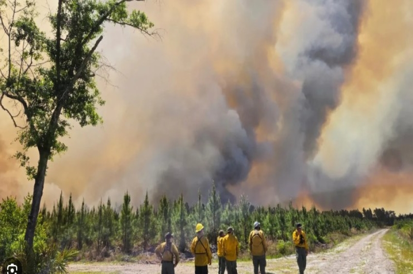 ਅਮਰੀਕਾ: ਜਾਰਜੀਆ ਅਤੇ ਫਲੋਰੀਡਾ ਰਾਜਾਂ 'ਚ ਜੰਗਲੀ ਅੱਗ ਦਾ ਤਾਂਡਵ, 50 ਤੋਂ ਵੱਧ ਘਰ ਸੜ ਕੇ ਸੁਆਹ&nbsp;