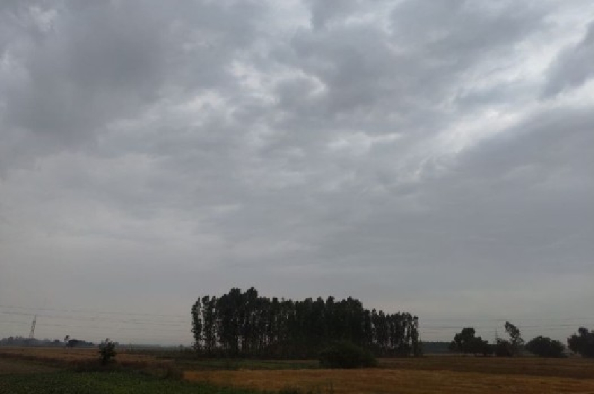 ਪੰਜਾਬ &rsquo;ਚ ਮੌਸਮ ਨੇ ਬਦਲਿਆ ਮਿਜ਼ਾਜ: ਤੇਜ਼ ਹਵਾਵਾਂ ਤੇ ਕਣੀਆਂ ਨਾਲ ਗਰਮੀ ਤੋਂ ਮਿਲੀ ਰਾਹਤ ਖੇਤੀ ਮਾਹਿਰਾਂ ਅਨੁਸਾਰ ਨਰਮੇ ਤੇ ਚਾਰੇ ਦੀ ਫ਼ਸਲ ਲਈ ਮੌਸਮ ਲਾਹੇਵੰਦ; 30 ਅਪਰੈਲ ਤੱਕ ਮੀਂਹ ਦੀ ਪੇਸ਼ੀਨਗੋਈ