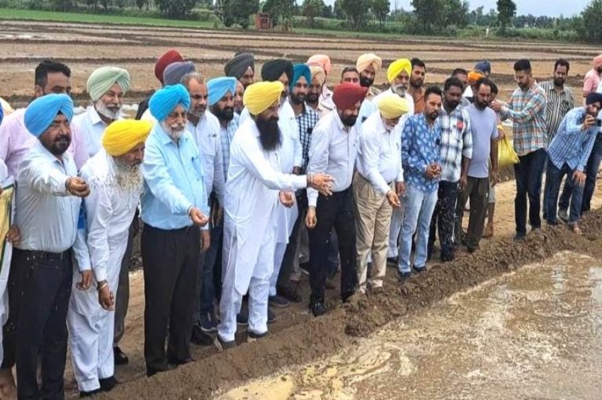 ਸੰਗਰੂਰ: ਖੇਤੀਬਾੜੀ ਮੰਤਰੀ ਨੇ ਝੋਨੇ ਦੀ ਮੁੜ ਲੁਆਈ ਲਈ 20 ਏਕੜ &rsquo;ਚ ਪਨੀਰੀ ਬੀਜਣ ਦੀ ਸ਼ੁਰੂਆਤ ਕਰਵਾਈ