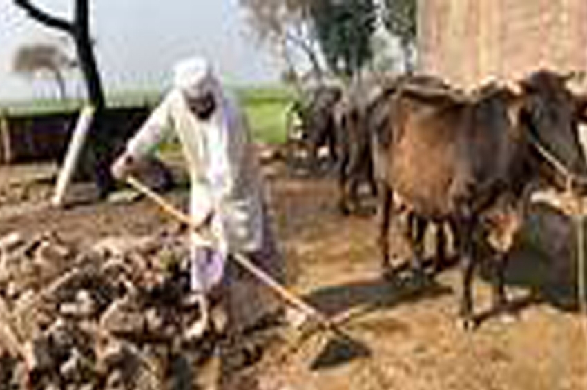 ਡਾਇਰੀ ਦਾ ਪੰਨਾ/ਨਿੰਦਰ ਘੁਗਿਆਣਵੀ